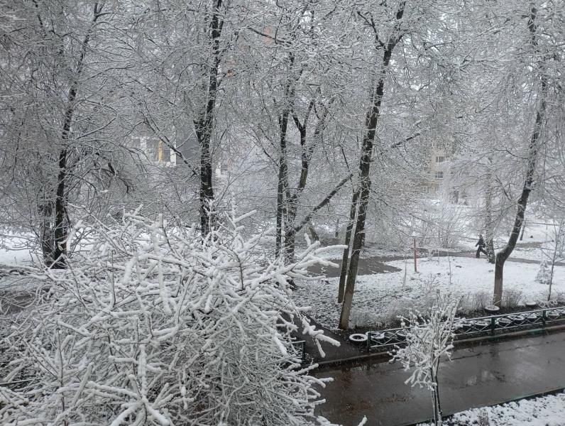 Рязанцам вновь пообещали мокрый снег и гололедицу